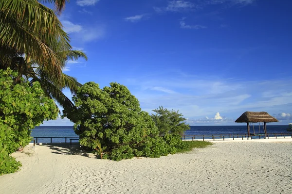 Praia tropical — Fotografia de Stock