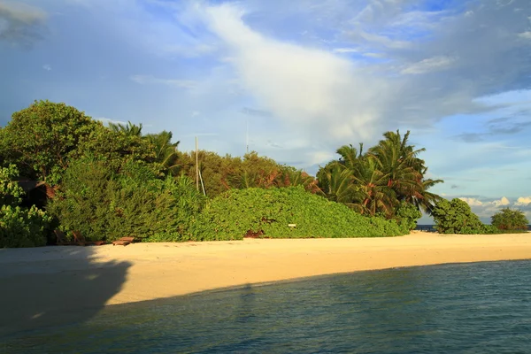 Tropisk strand — Stockfoto