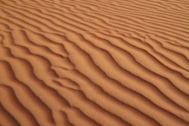 wahiba sands