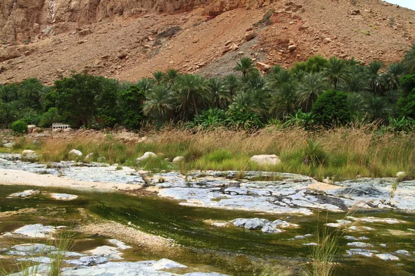 Wadi Tiwi — Zdjęcie stockowe