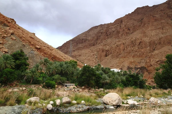 Wadi Tiwi — Zdjęcie stockowe