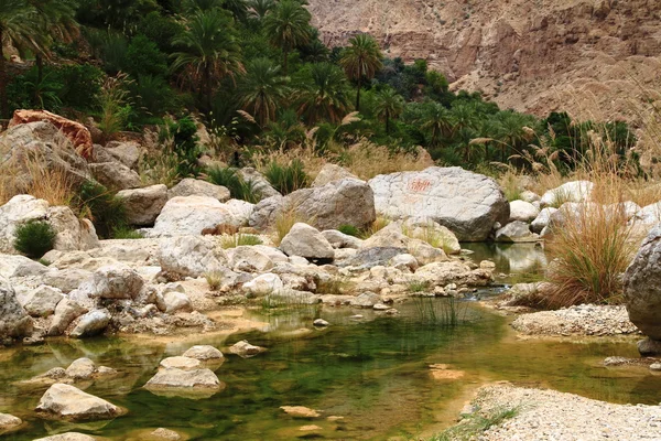 Wadi Tiwi — Zdjęcie stockowe