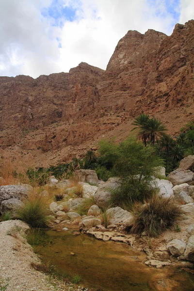 Wadi Tiwi — Stockfoto