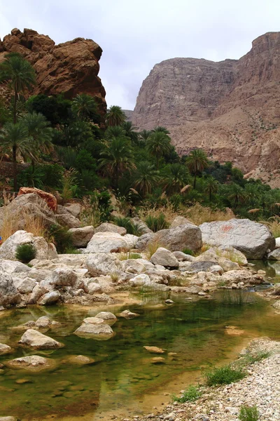 Wadi Tiwi — Stock Fotó