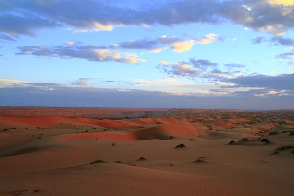 Wahiba sands — Stok fotoğraf