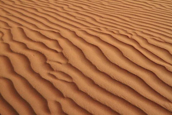 Wahiba 모래 — 스톡 사진