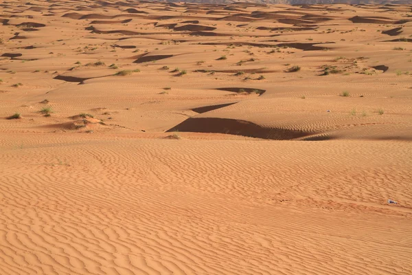 Os Wahiba Sands — Fotografia de Stock