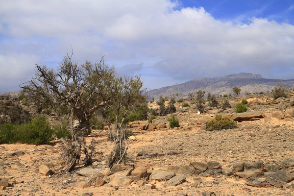 Jebel Shams — Stockfoto