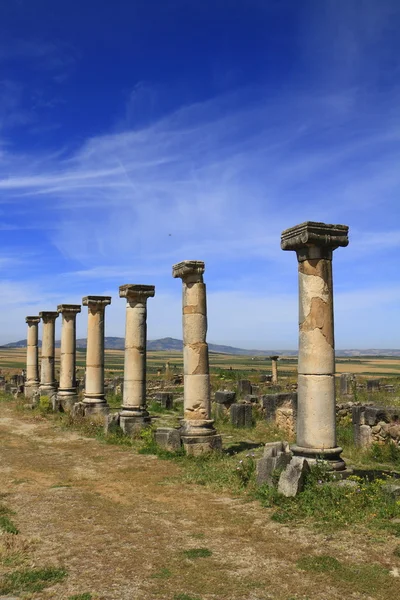 Volubilis — Foto de Stock