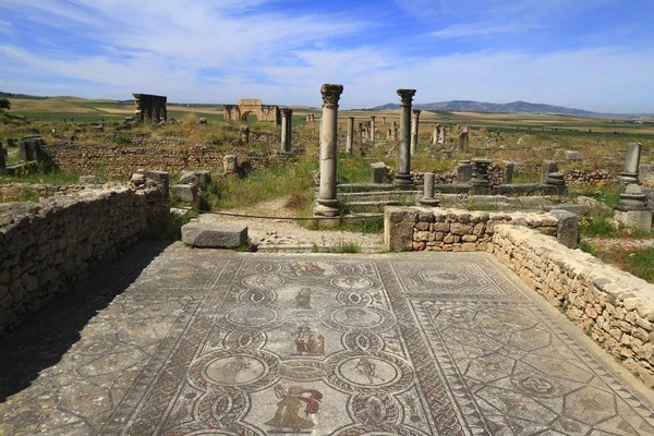 Volubilis — Φωτογραφία Αρχείου