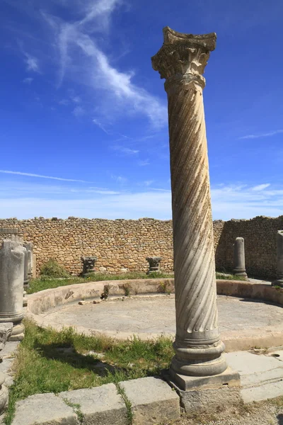 Volubilis — Foto de Stock