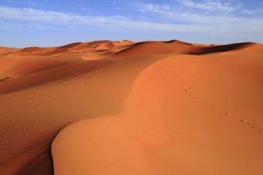 ERG African
