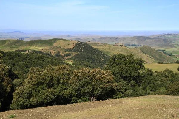 Câmpuri — Fotografie, imagine de stoc