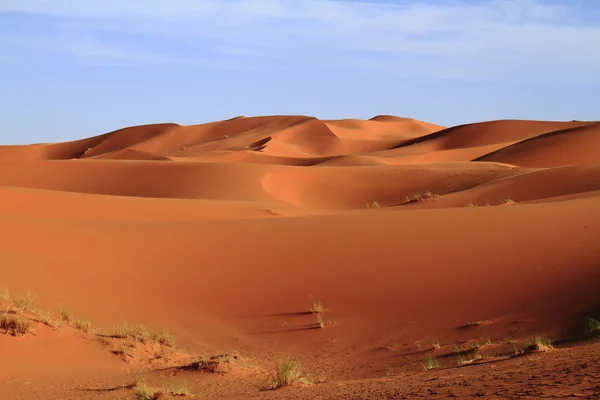 Erg Chebbi. — Foto de Stock