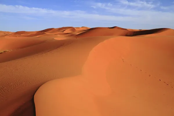 Erg Chebbi — Stock Photo, Image