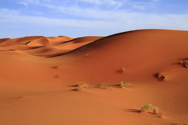 Erg Chebbi — Stock fotografie