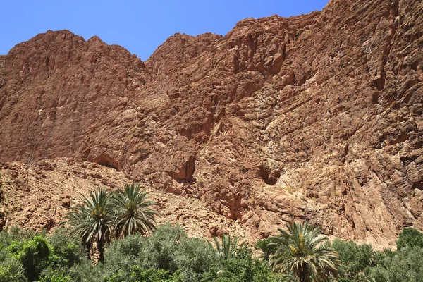 Garganta de Todra — Foto de Stock