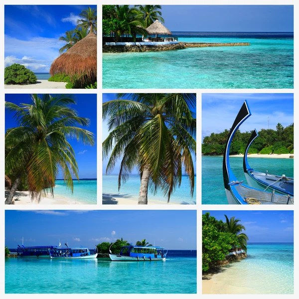 Benyomások a Maldív-szigetek — Stock Fotó