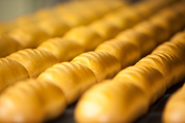 pişmiş ekmek üretimine