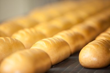 pişmiş ekmek üretimine