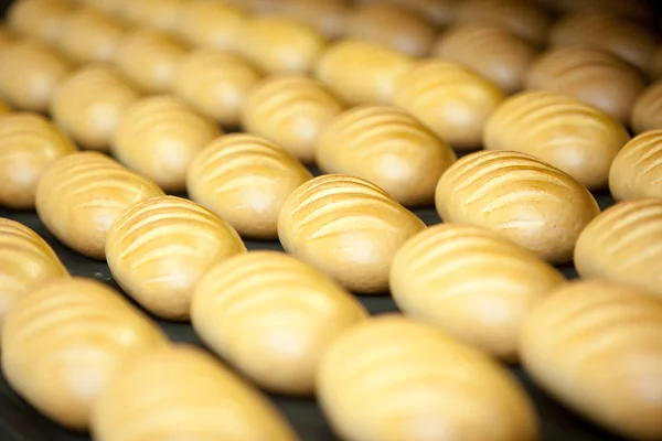 pişmiş ekmek üretimine