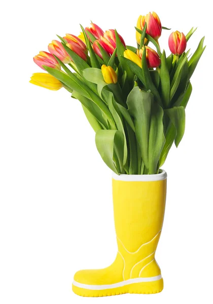 Zyski z tulipany — Zdjęcie stockowe