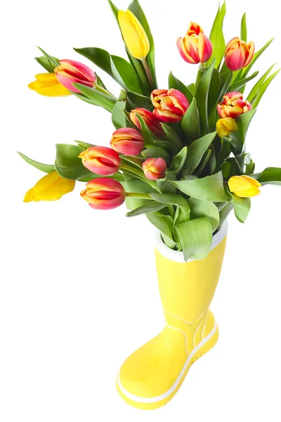 Boot with tulips — Stock Photo, Image