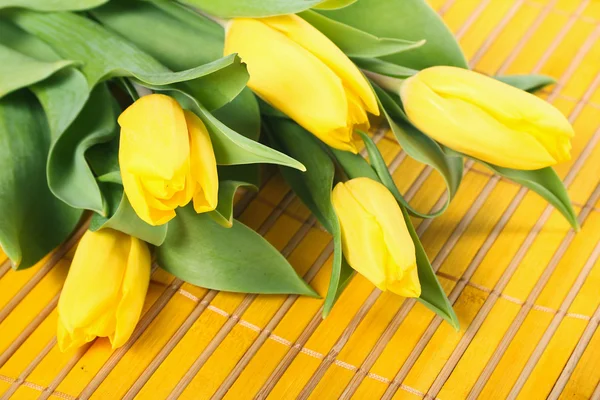 Tulips on placemats — Stock Photo, Image