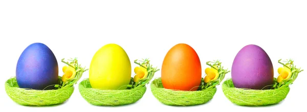 Yuvadaki paskalya yumurtaları — Stok fotoğraf