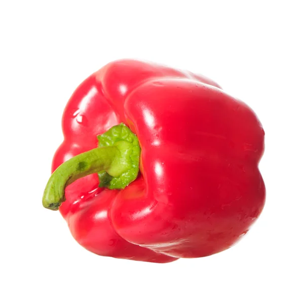 Pepper Stock Picture