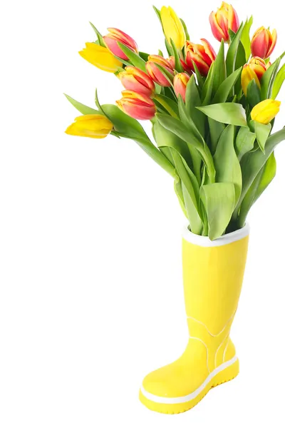 Boot with tulips — Stock Photo, Image