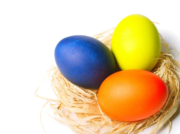 Easter eggs in nest — Stock Photo, Image