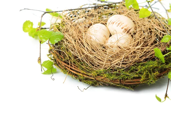 Het nest — Stockfoto
