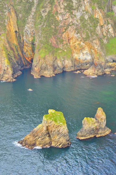 Irish cliffs — Stock Photo, Image