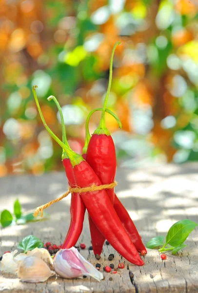 Chili pepper and spices — Stock Photo, Image