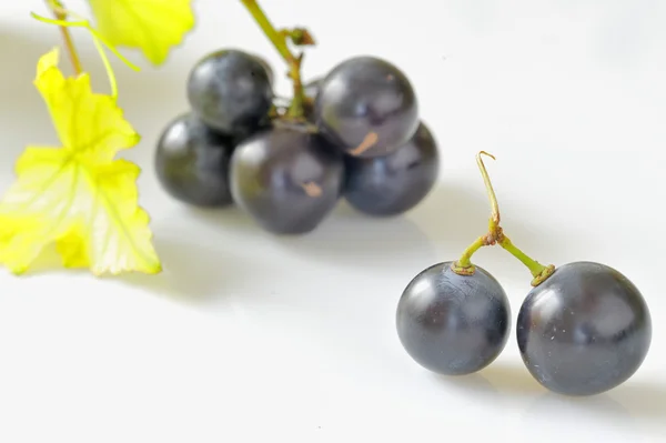 Red grapes isolated on white — Stock Photo, Image