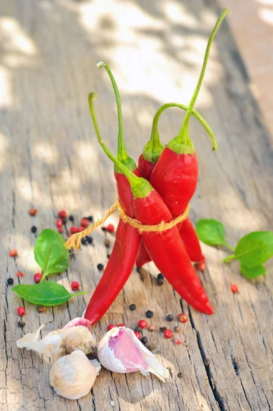 Chili pepper and spices — Stock Photo, Image