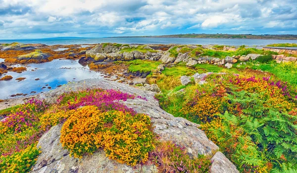 Ierland landschap hdr — Stockfoto