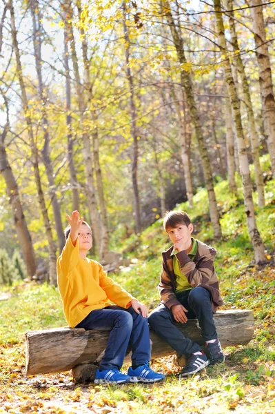 Beste Freunde — Stockfoto