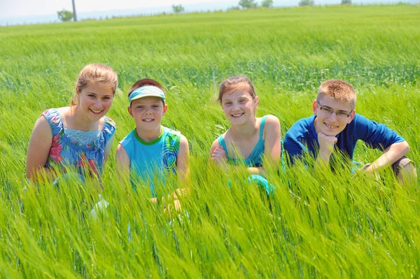 Cousins dans le champ de blé — Photo