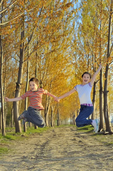 Gyerekek játszanak, erdő — Stock Fotó