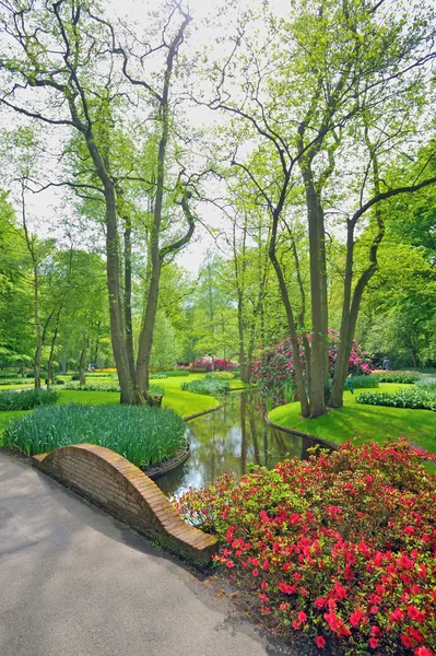 Tavaszi virágok és a virágzás a Keukenhof Holland — Stock Fotó