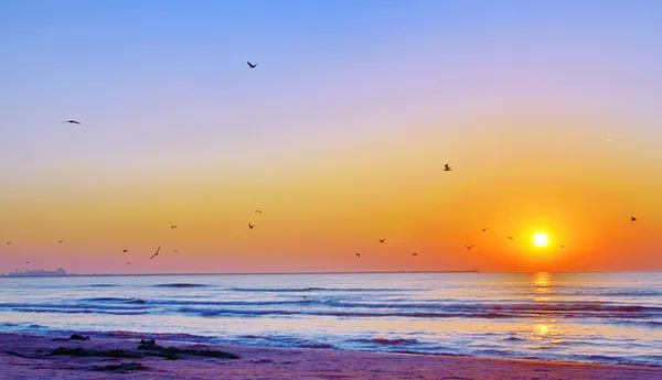 Гарний схід сонця на пляжі Чорного моря — стокове фото