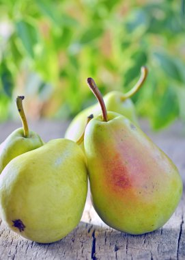 eski ahşap hasat armut