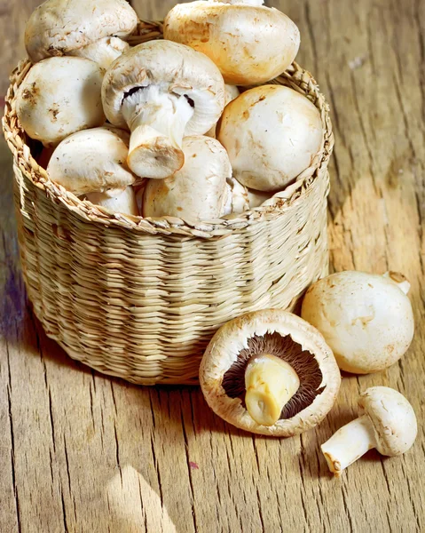 바구니에 담긴 버섯 — 스톡 사진