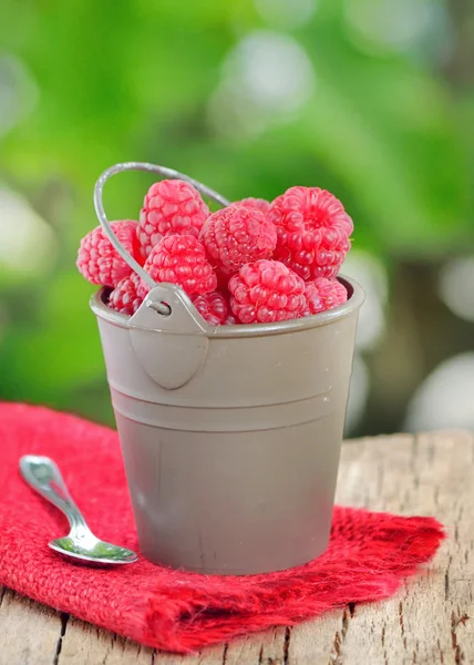 Raspberry on old wood — Stock Photo, Image