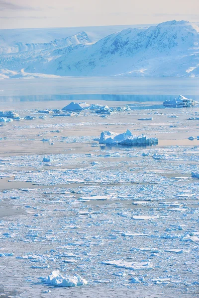 Айсберг у весняний час — стокове фото