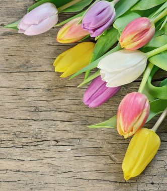 rustik ahşap üzerine renkli Lale