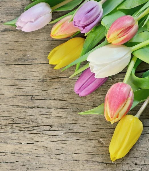 Tulipanes coloridos sobre madera rústica — Foto de Stock