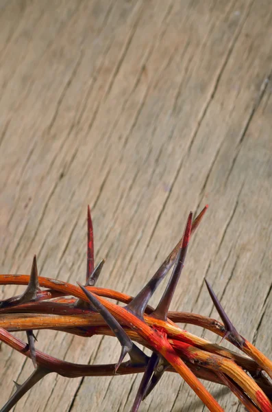 Crown of thorns — Stock Photo, Image